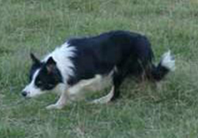 Katie